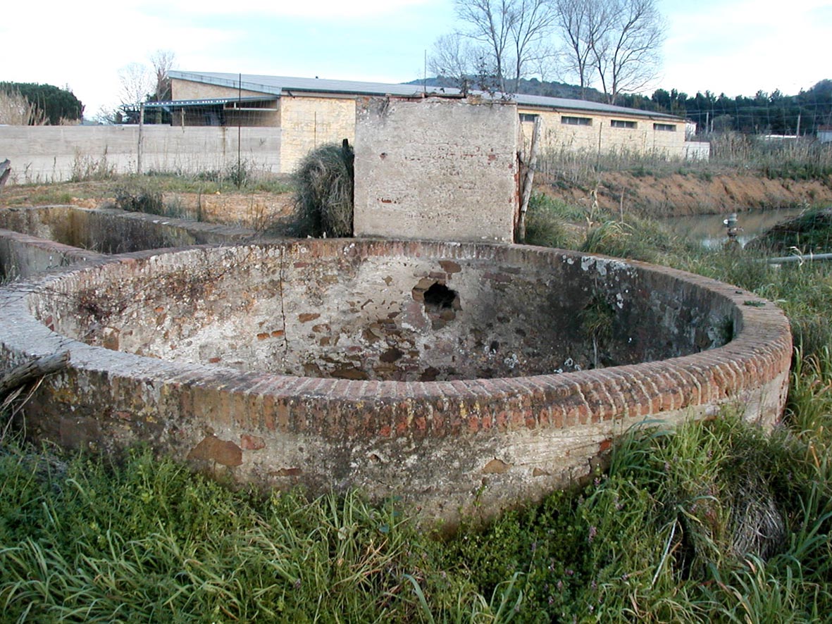 Pozzo interessante a Fiorentina (Piombino -LI)